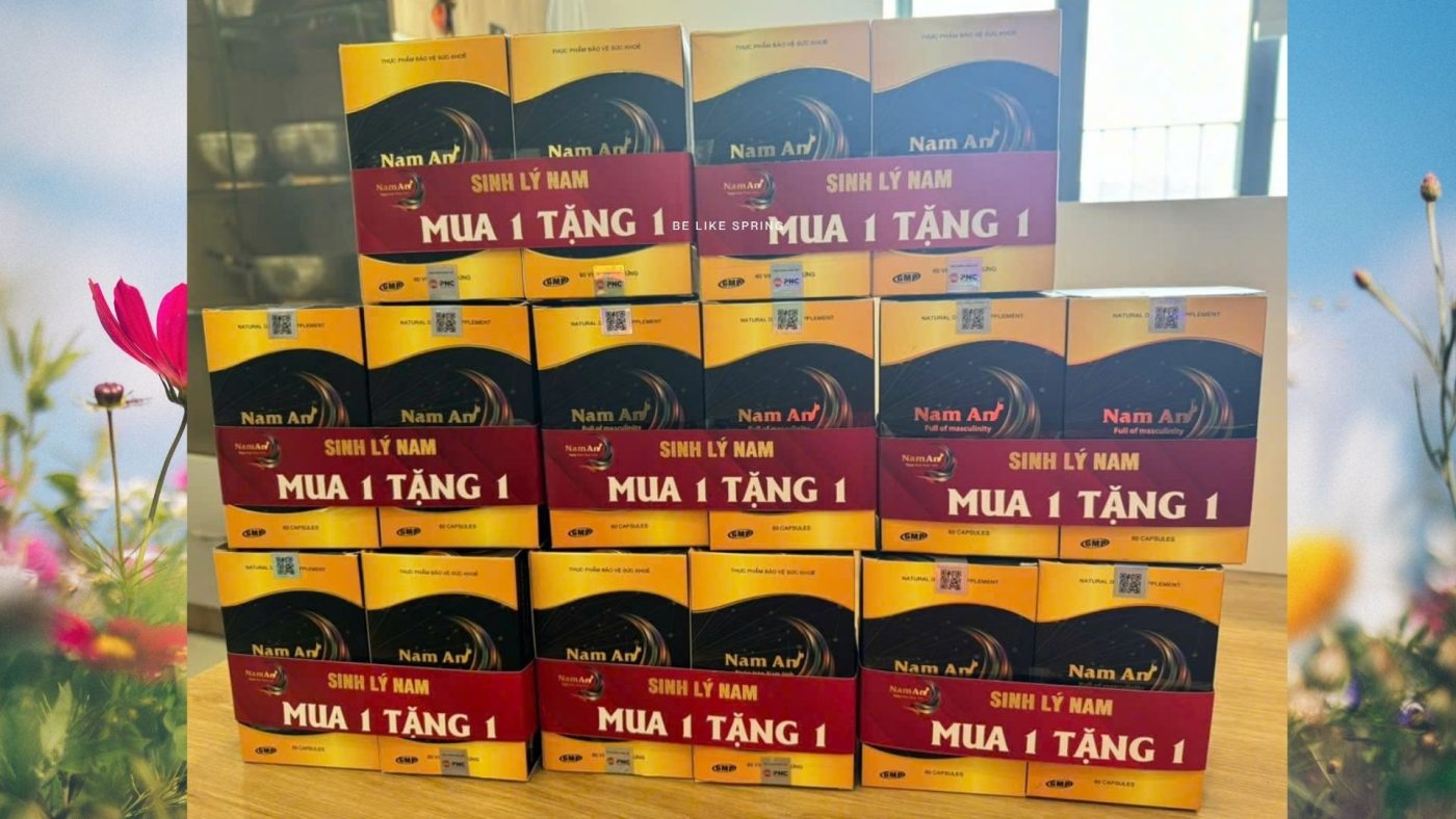 Nam An M2t1